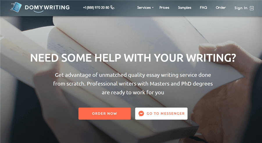 domywriting.com review